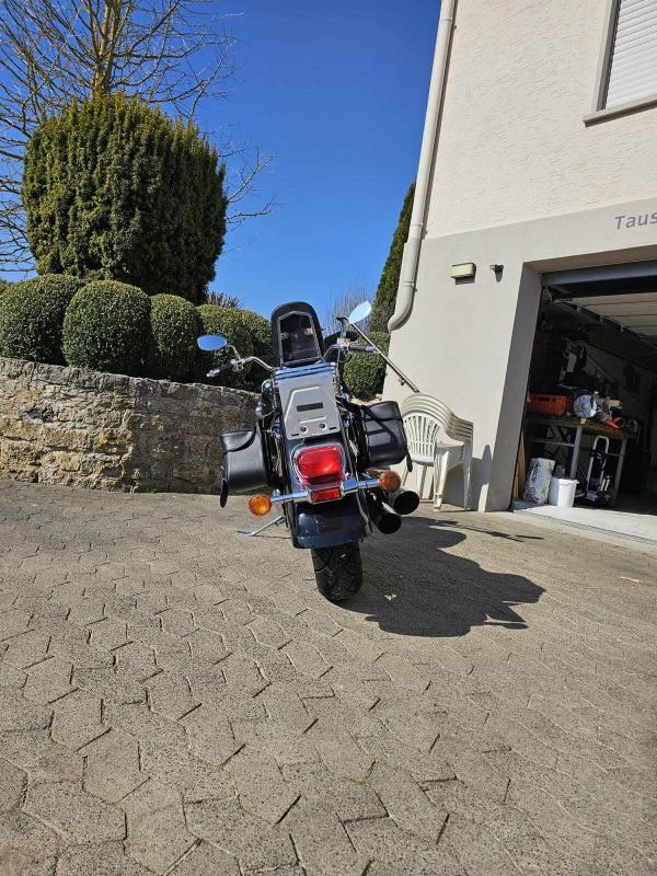 Suzuki VL800 - Heckansicht