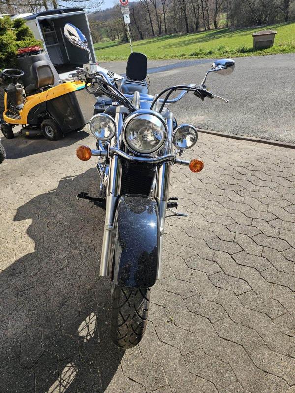 Suzuki VL800 - Frontansicht